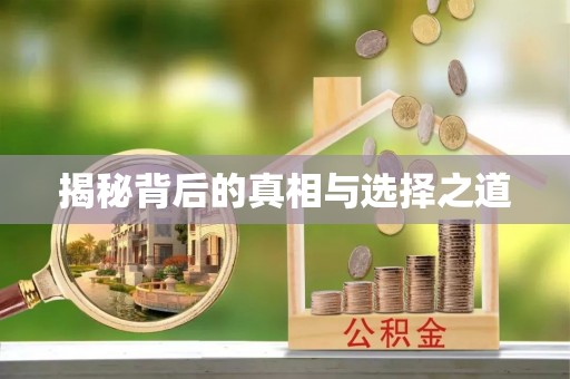 鸡西揭秘背后的真相与选择之道