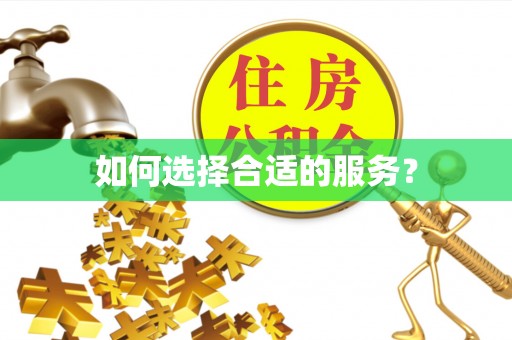 鸡西如何选择合适的服务？