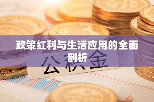鸡西政策红利与生活应用的全面剖析