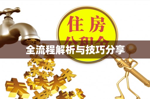 鸡西全流程解析与技巧分享