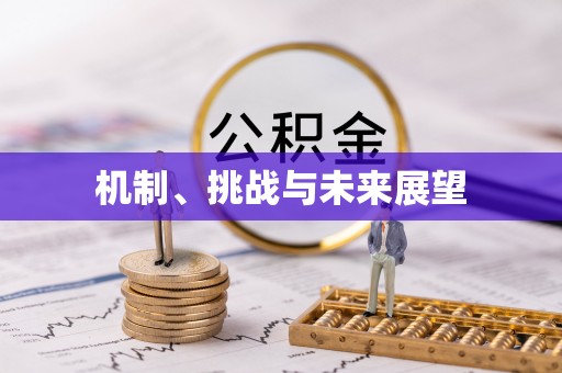 鸡西机制、挑战与未来展望